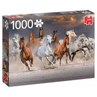 Jumbo Puzzle Pferde in der Wüste