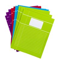 50x Vrolijk gekleurde A5 lijntjes schriften pakket Multi
