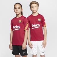 NIKE FC Barcelona Strike Trainingstrikot Kinder noble red/noble red/amarillo L (- cm)