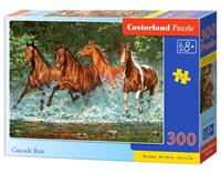 Castorland Cascade Run Puzzel (300 stukjes)