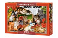 castorland Kittens Play Time - Puzzle - 1500 Teile