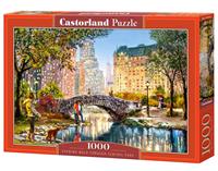Evening Walk Through Central Park Puzzel (1000 stukjes)