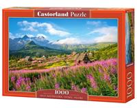 Castorland Hala Gasienicowa,Tatras Puzzel (1000 stukjes)