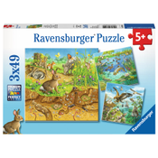 Ravensburger 00.008.050. Soort: Tegelpuzzel. Aantal puzzles: 49 stuk(s). Genre: Kunst, Doelpubliek: Kinderen, Aanbevolen geslacht: Meisjes, Aanbevolen leeftijd (min): 5 jaar