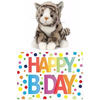 Cadeau setje pluche grijze kat/poes knuffel 16 cm met Happy Birthday wenskaart -