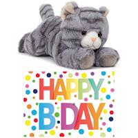 Cadeau setje pluche grijze kat/poes knuffel 25 cm met Happy Birthday wenskaart -