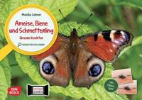 Don Bosco Ameise, Biene und Schmetterling. Unsere Insekten. Kamishibai Bildkarten und Memo-Spiel