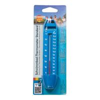 Summer Fun thermometer budget