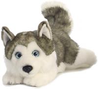 Aurora knuffel husky junior 28 cm pluche grijs/wit