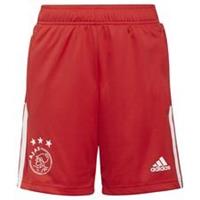 adidas Ajax Amsterdam Trainingsshorts Kinder, rot / weiß