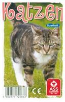 ASS Altenburger Spielkarten Katzen, Quartett (Kartenspiel)