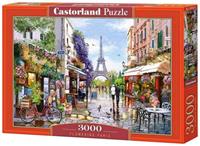 Castorland Flowering Paris Puzzel (3000 stukjes)