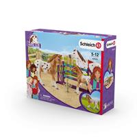 Schleich 42433 Toernooi Trainingsset