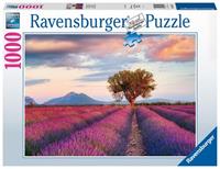 Ravensburger - Puzzle 1000 - Lavender Fields (10216724)