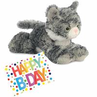 Aurora Pluche knuffel kat/poes grijs/witte 20 cm met A5-size Happy Birthday wenskaart -