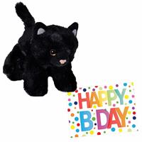 Wild Republic Pluche knuffel kat/poes zwart 18 cm met A5-size Happy Birthday wenskaart -
