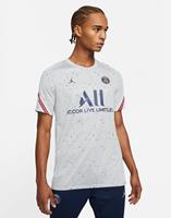 Paris Saint-Germain Training T-Shirt Dri-FIT Strike Jordan x PSG - Grau/Navy