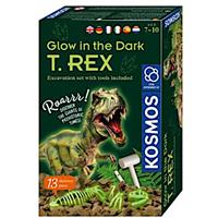 Kosmos Opgravingsspel T-rex Junior 13 X 21 Cm 13-delig