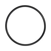 O-Ring voor Deksel  IntelliFlo Whisperflo zwembadpomp