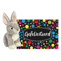 Ravensden Pluche knuffel cadeau Konijn 18 cm met A5-size Gefeliciteerd wenskaart -