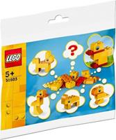 LEGO Rebuild The World 30503