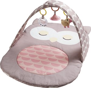 Hape babygym Uil Oscar