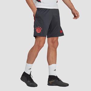 fc bayern münchen condivo 22/23 trainingsshort grijs heren