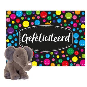 Keel Toys Cadeaukaart Gefeliciteerd met knuffeldier olifant 18 cm -