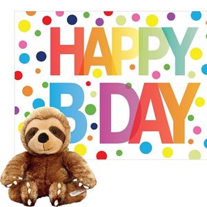 Pluche dieren knuffel luiaard 14 cm met Happy Birthday wenskaart -