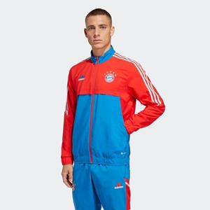 Adidas Bayern München Jacke Presentation - Rot/Bright Royal