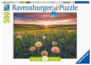 Ravensburger Pusteblumen im Sonnenuntergang