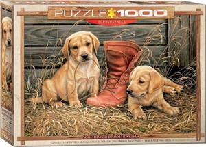 Eurographics 6000-0795 - Etwas Altes, Etwas Neues von Rosemary Millette , Puzzle, 1.000 Teile