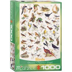 Birds (1000 Stukjes)