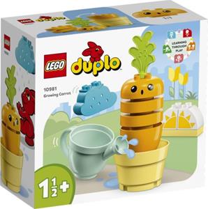 Lego 10981  Duplo Groeiende Wortel