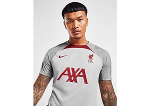 Nike Liverpool Training T-Shirt Dri-FIT Strike - Grau/Smoke Grau/Rot