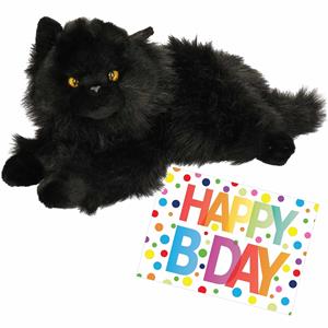 Nature Planet Pluche knuffel kat/poes zwart 30 cm met A5-size Happy Birthday wenskaart -
