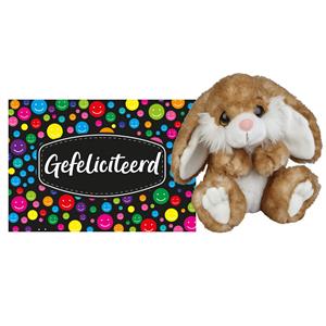 Ravensden Pluche knuffel cadeau Konijn 18 cm met A5-size Gefeliciteerd wenskaart -