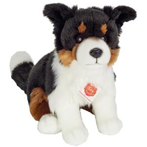 Teddy HERMANN  Tri- Color Border Collie zittend 30 cm