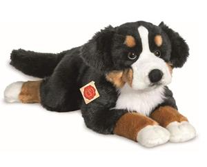 Teddy HERMANN Berner Berghond liggend op 60 cm hoogte