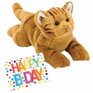 Nature Planet Pluche knuffel rode kat/poes 33 met A5-size Happy Birthday wenskaart -