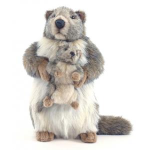 pluche marmot knuffel 35 cm -