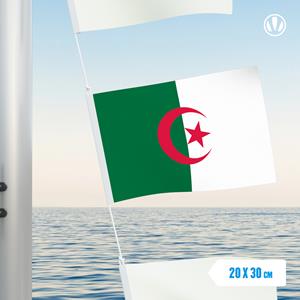 Vlaggetje Algerije 20x30cm