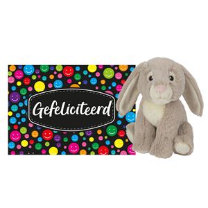 Nature Planet Pluche knuffel cadeau Konijn 19 cm met A5-size Gefeliciteerd wenskaart -