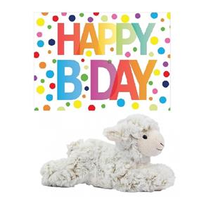 Nature Planet Pluche knuffel lammetje/schaap 22 cm met A5-size Happy Birthday wenskaart -