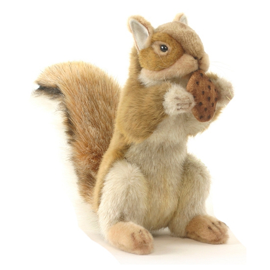 Hansa pluche eekhoorn knuffel 22 cm -