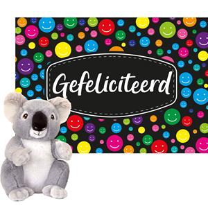  Cadeaukaart Gefeliciteerd met knuffeldier koala 18 cm -