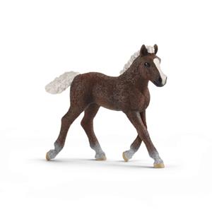 Schleich 13899 Schwarzwalder Veulen