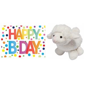 Pluche knuffel lammetje/schaap 16 cm met A5-size Happy Birthday wenskaart -