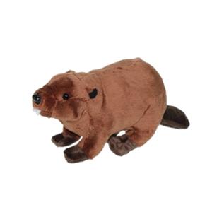 Cornelissen Pluche knuffel dier bever 24 cm -