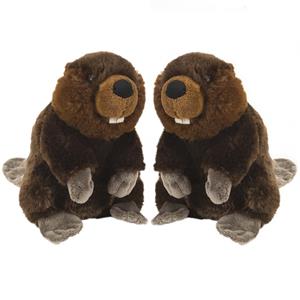 2x stuks pluche bever knuffel 20 cm -